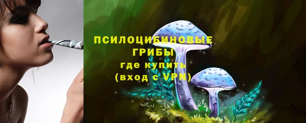 таблы Приозерск