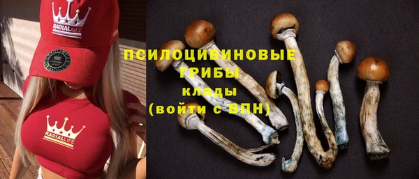 кокс Пролетарск