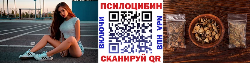купить   Горячеводский  Галлюциногенные грибы GOLDEN TEACHER 